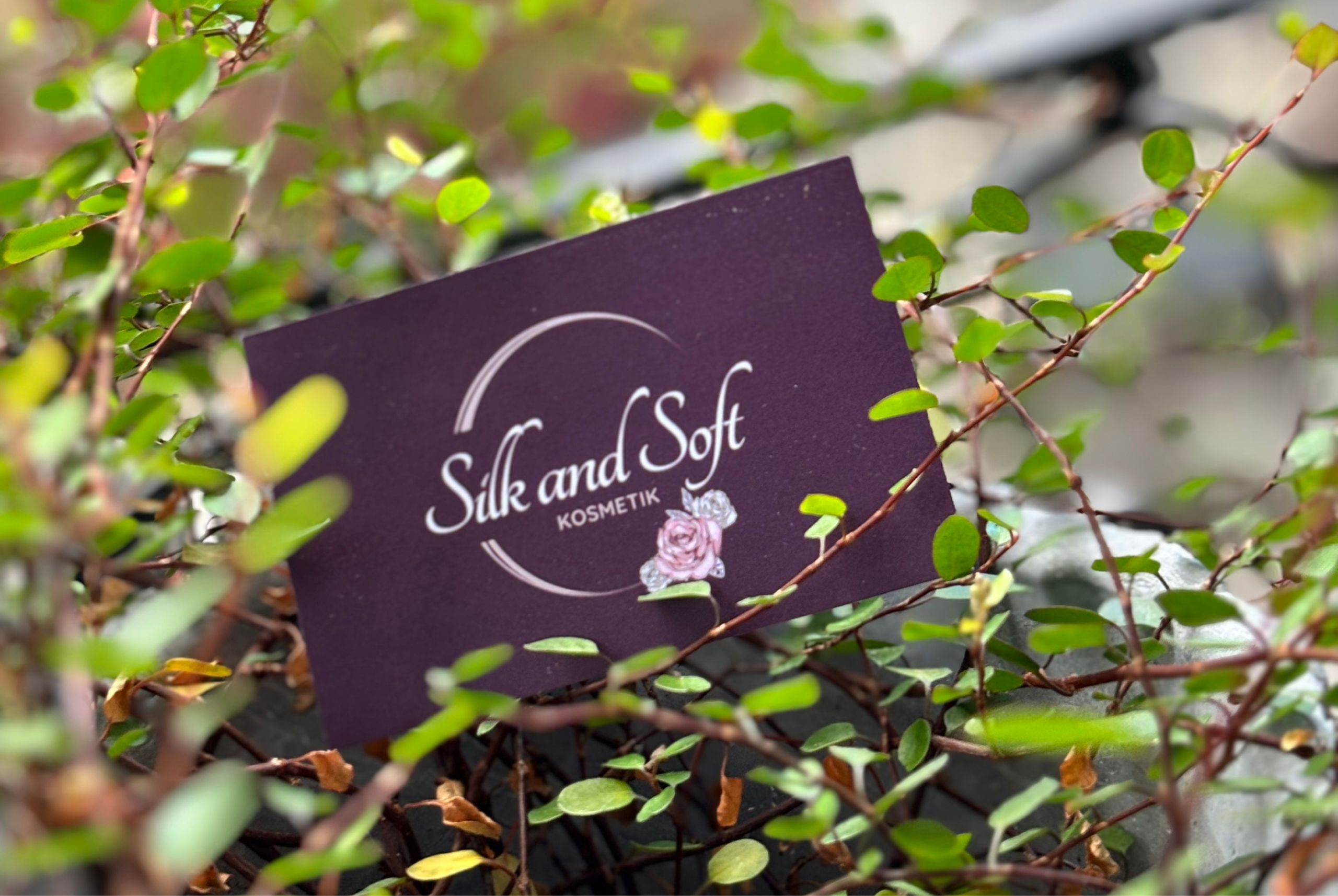 Design ohne Titel - 2025-02-27T103734.346